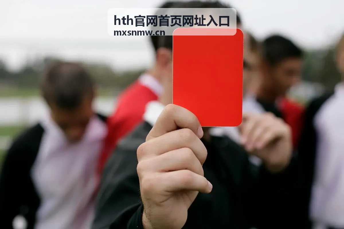 hth官网首页网址入口 访问异常排查与安全核对示意